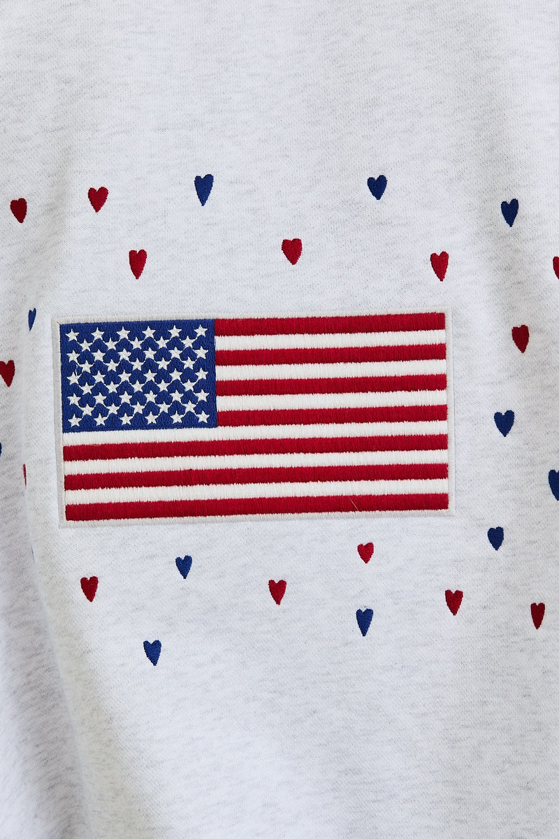 Usa Heather Grey Embroidery Long Sleeve Crew Neck Oversized