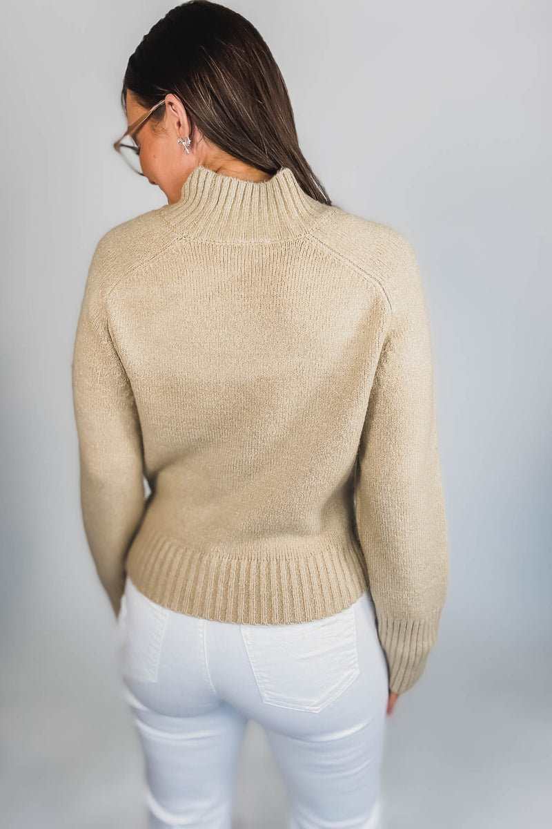 Super Stylish Taupe High-Neck Sweater