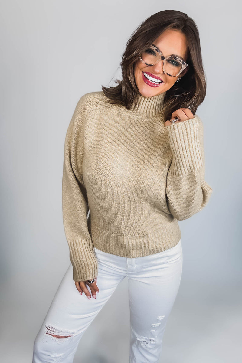 Super Stylish Taupe High-Neck Sweater