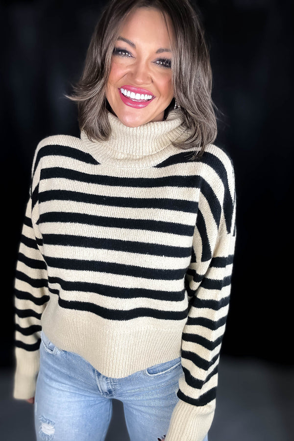 Alpine Taupe And Black Striped Turtleneck Sweater