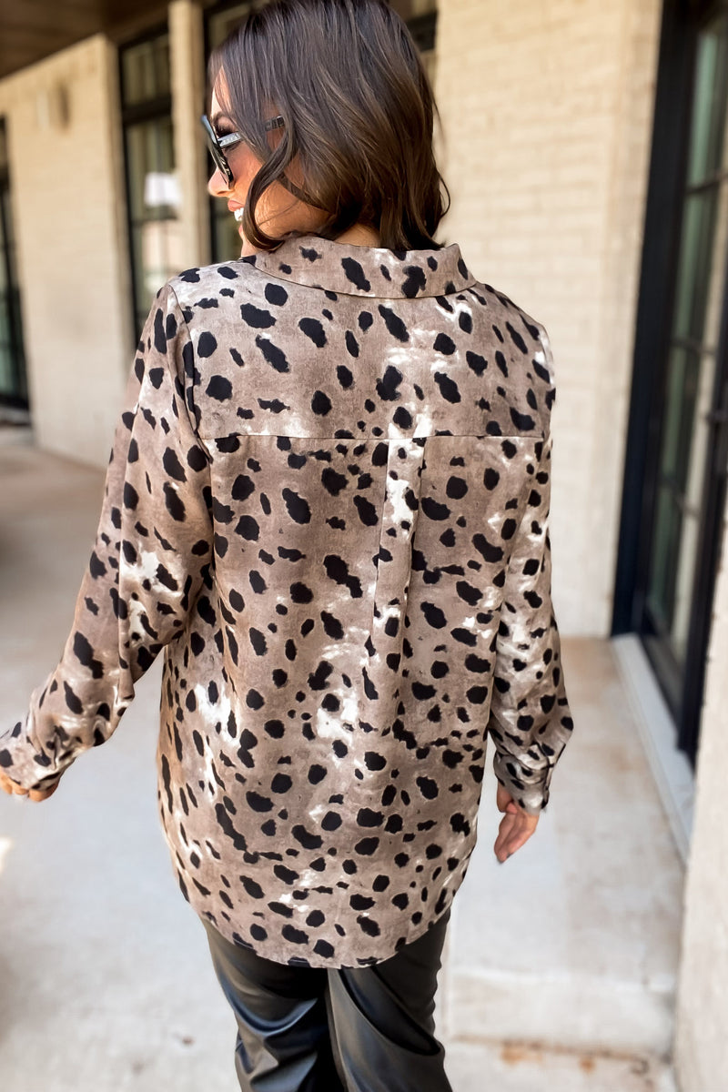 In Clear Site Leopard Print Collared Neck Top
