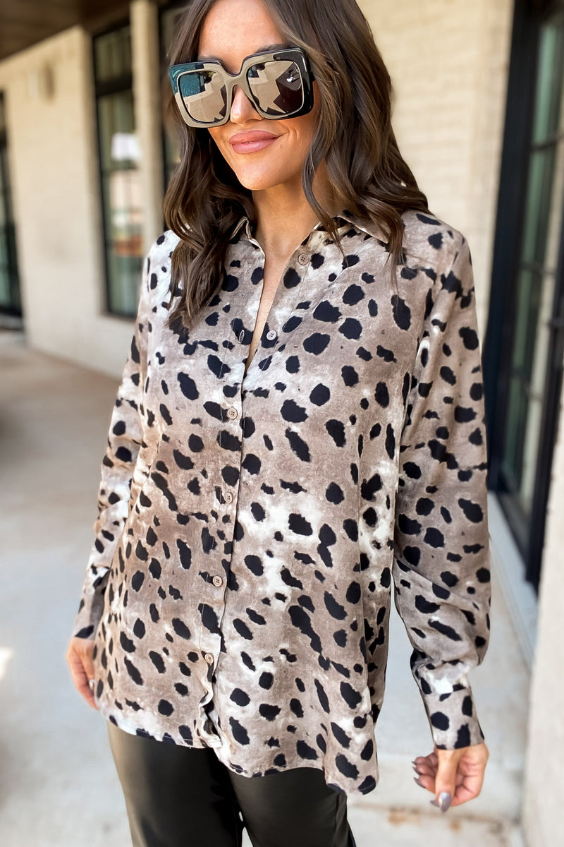 In Clear Site Leopard Print Collared Neck Top