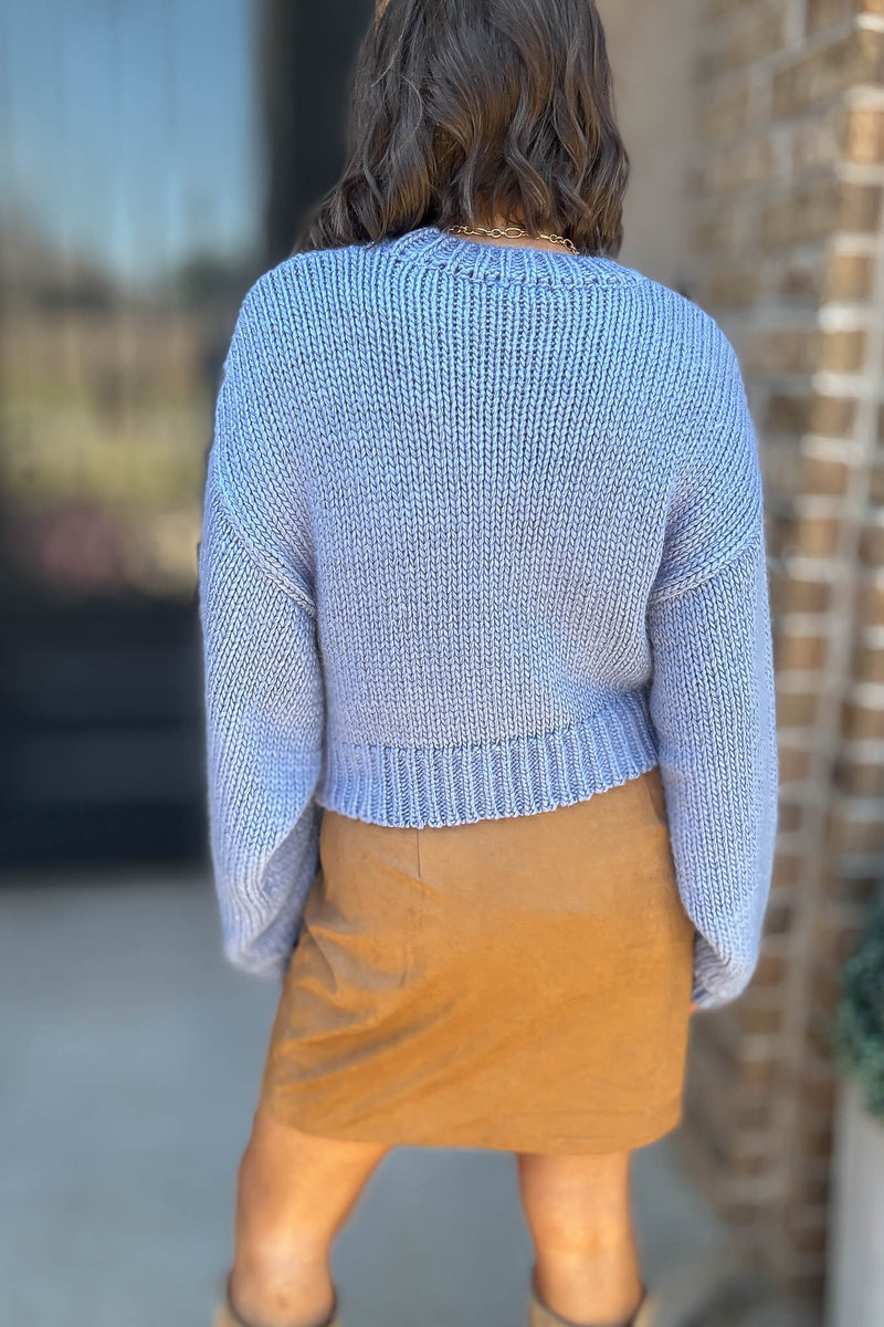 Le Lis Blue Diamond Round Neck Crop Sweater Top