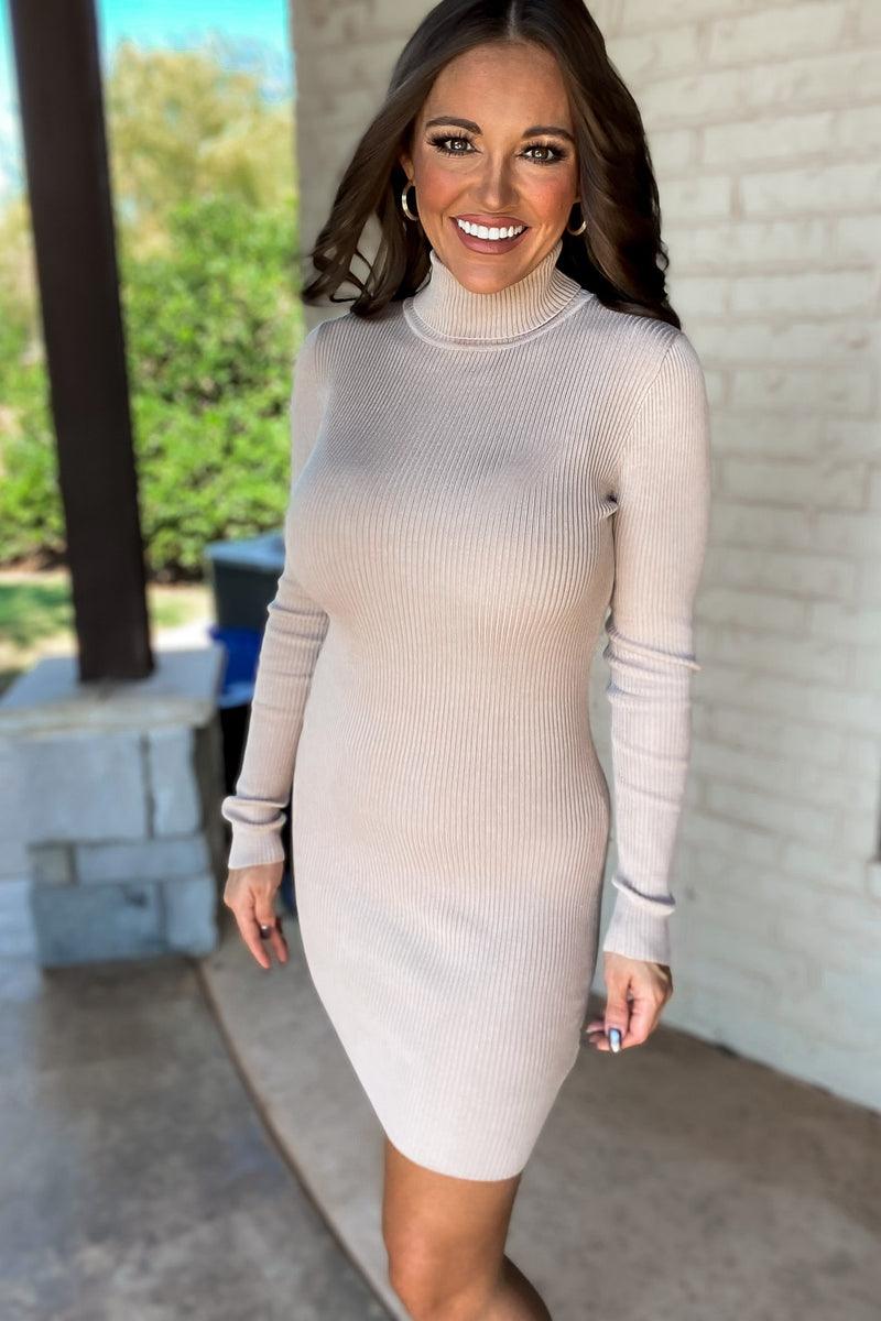 Oh So Bold Heather Taupe Sweater Dress