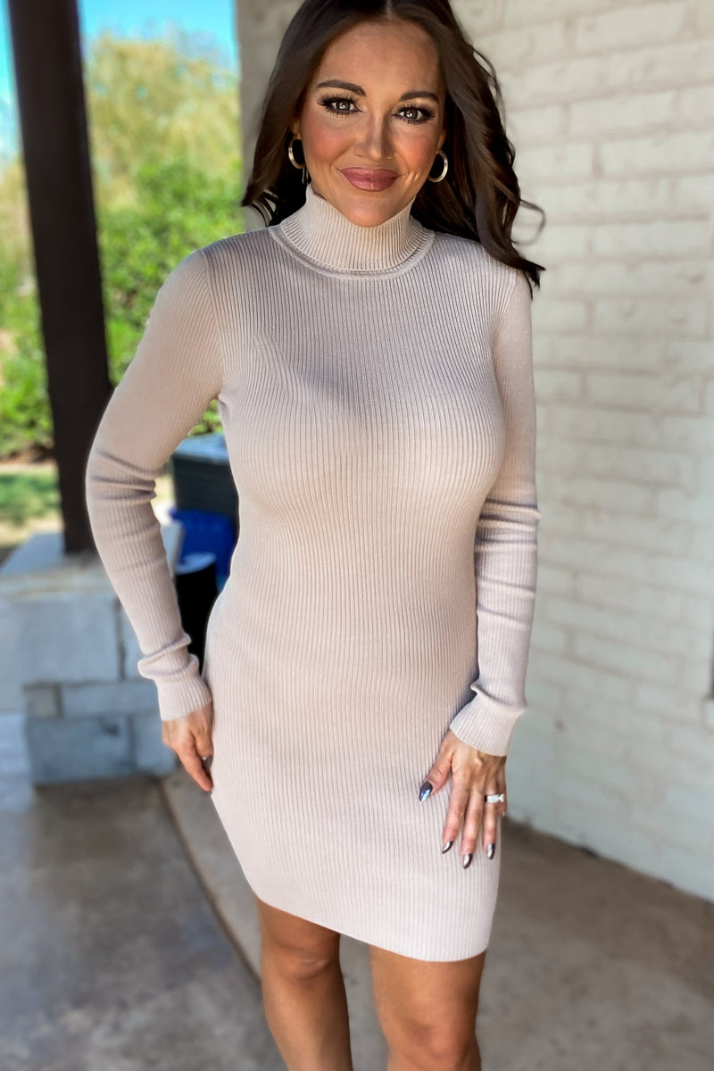 Oh So Bold Heather Taupe Sweater Dress