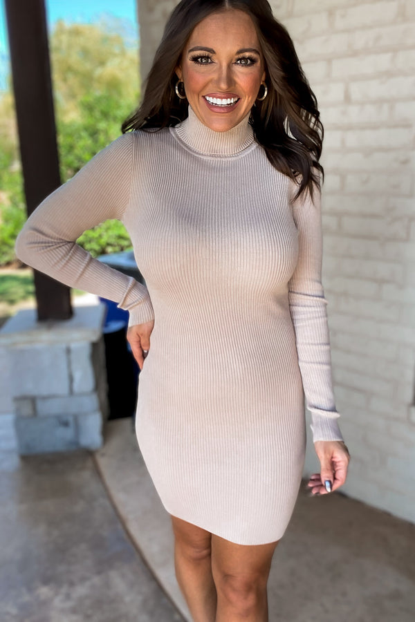 Oh So Bold Heather Taupe Sweater Dress